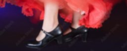 Zapatos flamenca
